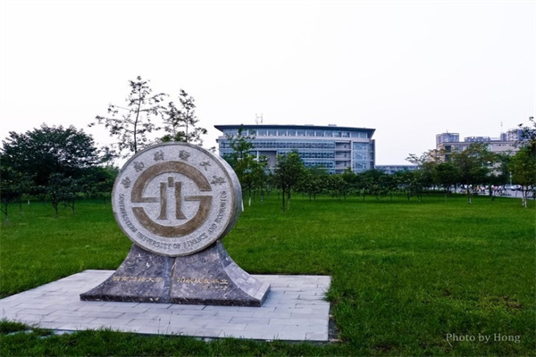 买了FSD“期货”6年,老车主却没法OTA,特斯拉回应来了