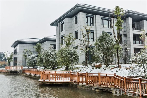 蓝佛安:加快地方政府融资平台改革转型 有效防范化解地方政府债务风险