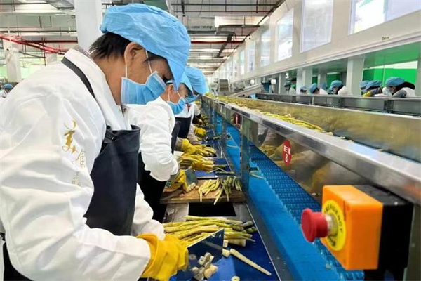 周晓光:稳就业需释放中小微企业潜力