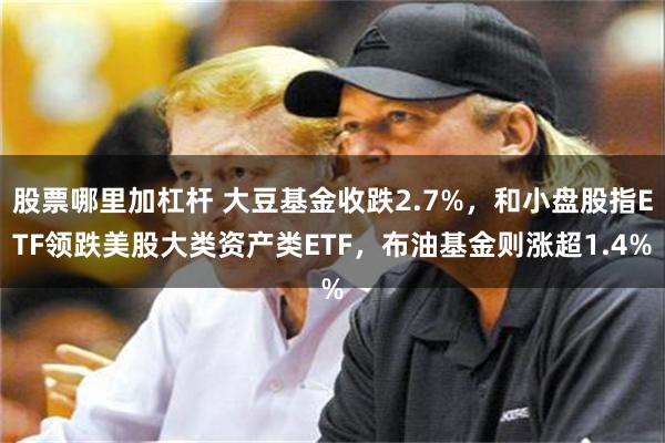 股票哪里加杠杆 大豆基金收跌2.7%，和小盘股指ETF领跌美股大类资产类ETF，布油基金则涨超1.4%