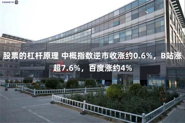 股票的杠杆原理 中概指数逆市收涨约0.6%，B站涨超7.6%，百度涨约4%