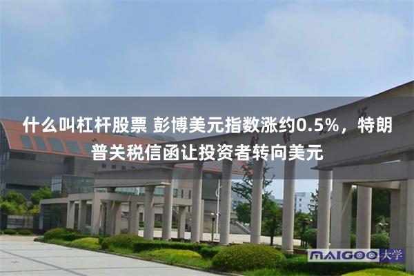 什么叫杠杆股票 彭博美元指数涨约0.5%，特朗普关税信函让投资者转向美元