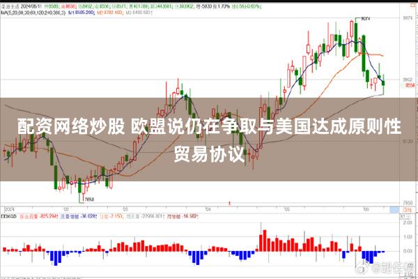 配资网络炒股 欧盟说仍在争取与美国达成原则性贸易协议