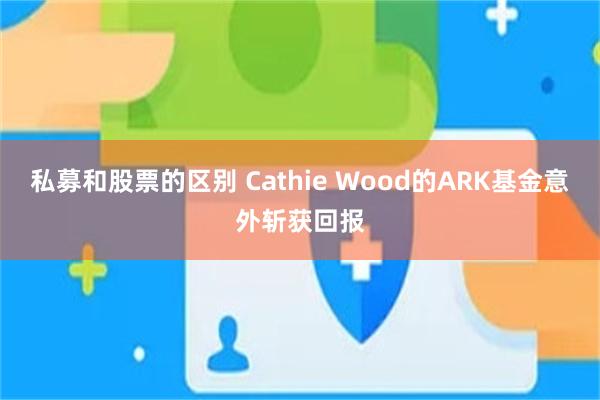 私募和股票的区别 Cathie Wood的ARK基金意外斩获回报