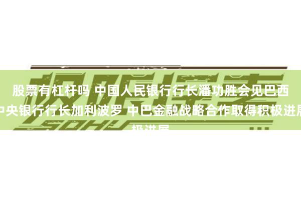 股票有杠杆吗 中国人民银行行长潘功胜会见巴西中央银行行长加利波罗 中巴金融战略合作取得积极进展