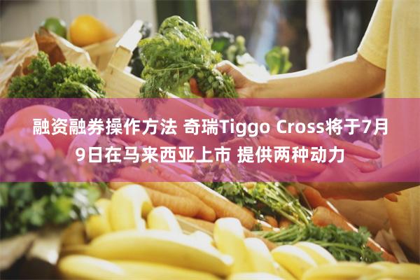 融资融券操作方法 奇瑞Tiggo Cross将于7月9日在马来西亚上市 提供两种动力