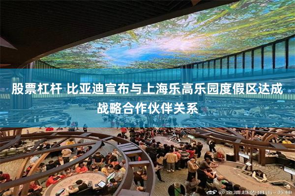 股票杠杆 比亚迪宣布与上海乐高乐园度假区达成战略合作伙伴关系