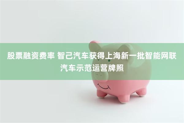 股票融资费率 智己汽车获得上海新一批智能网联汽车示范运营牌照