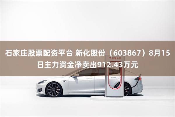 石家庄股票配资平台 新化股份（603867）8月15日主力资金净卖出912.43万元