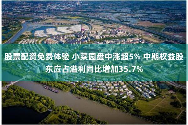 股票配资免费体验 小菜园盘中涨超5% 中期权益股东应占溢利同比增加35.7%