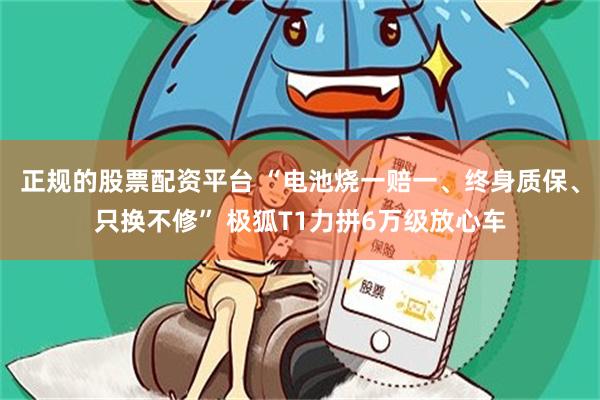 正规的股票配资平台 “电池烧一赔一、终身质保、只换不修” 极狐T1力拼6万级放心车