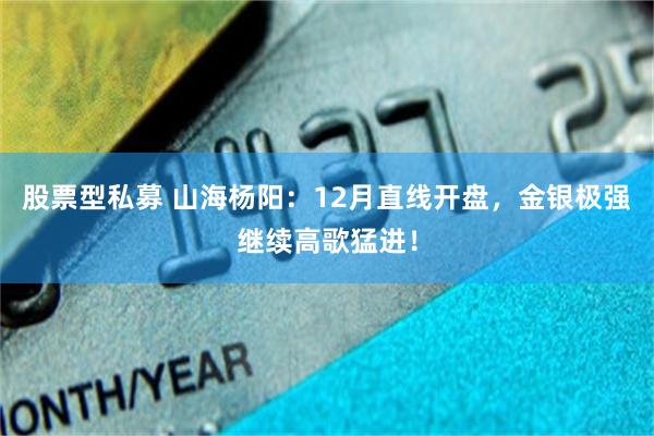 股票型私募 山海杨阳：12月直线开盘，金银极强继续高歌猛进！