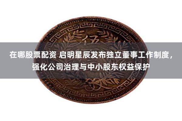 在哪股票配资 启明星辰发布独立董事工作制度，强化公司治理与中小股东权益保护