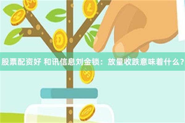 股票配资好 和讯信息刘金锁：放量收跌意味着什么？