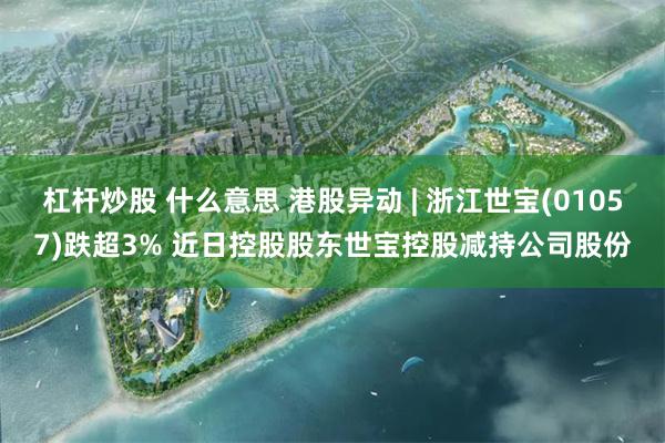 杠杆炒股 什么意思 港股异动 | 浙江世宝(01057)跌超3% 近日控股股东世宝控股减持公司股份
