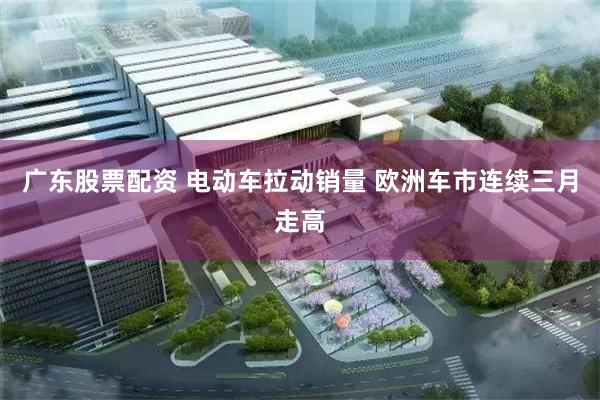 广东股票配资 电动车拉动销量 欧洲车市连续三月走高