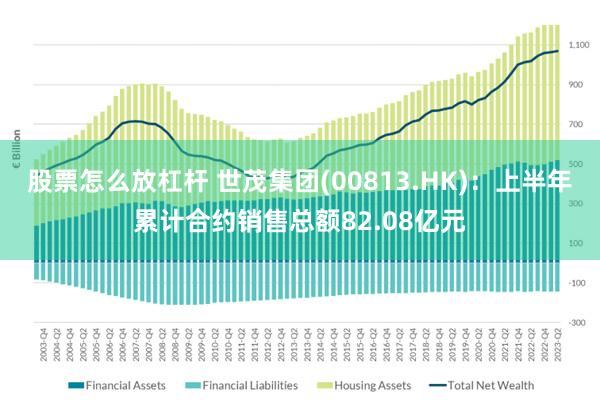 股票怎么放杠杆 世茂集团(00813.HK)：上半年累计合约销售总额82.08亿元