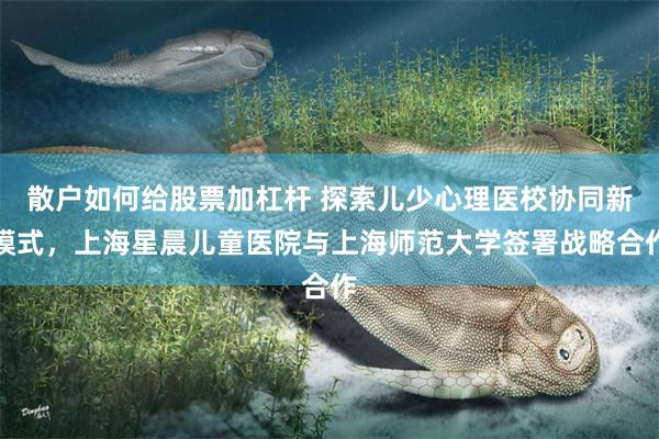 散户如何给股票加杠杆 探索儿少心理医校协同新模式，上海星晨儿童医院与上海师范大学签署战略合作