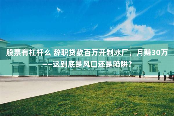 股票有杠杆么 辞职贷款百万开制冰厂，月赚30万——这到底是风口还是陷阱？