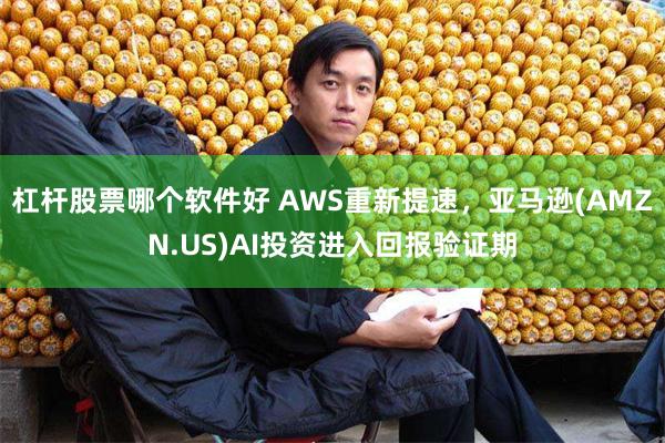 杠杆股票哪个软件好 AWS重新提速，亚马逊(AMZN.US)AI投资进入回报验证期