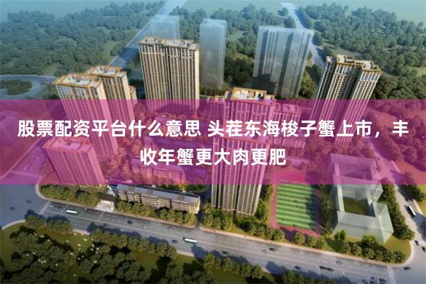 股票配资平台什么意思 头茬东海梭子蟹上市，丰收年蟹更大肉更肥