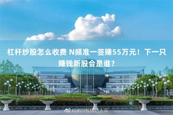 杠杆炒股怎么收费 N频准一签赚55万元！下一只赚钱新股会是谁？