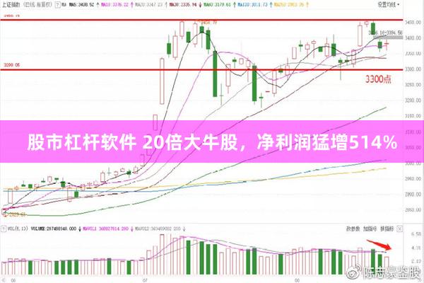 股市杠杆软件 20倍大牛股，净利润猛增514%