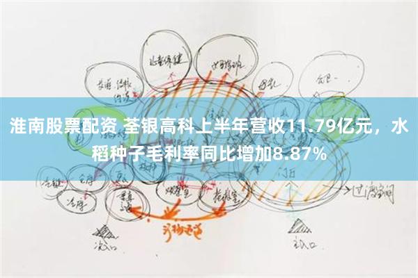 淮南股票配资 荃银高科上半年营收11.79亿元，水稻种子毛利率同比增加8.87%