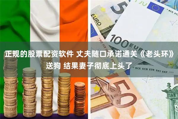 正规的股票配资软件 丈夫随口承诺通关《老头环》送狗 结果妻子彻底上头了