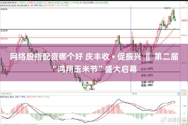 网络股指配资哪个好 庆丰收 • 促振兴 ‖ 第二届“鸿翔玉米节”盛大启幕