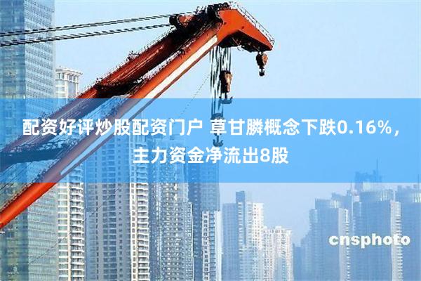 配资好评炒股配资门户 草甘膦概念下跌0.16%，主力资金净流出8股