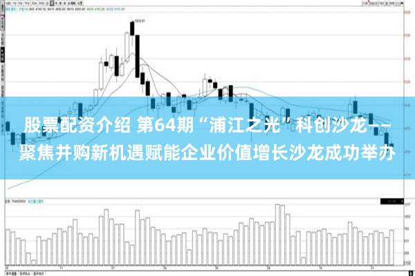 股票配资介绍 第64期“浦江之光”科创沙龙——聚焦并购新机遇赋能企业价值增长沙龙成功举办