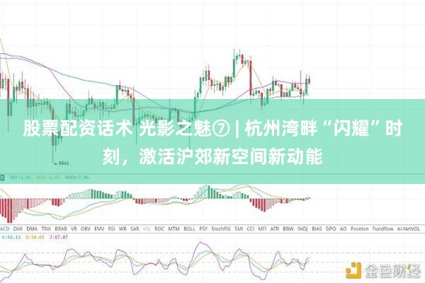 股票配资话术 光影之魅⑦ | 杭州湾畔“闪耀”时刻，激活沪郊新空间新动能