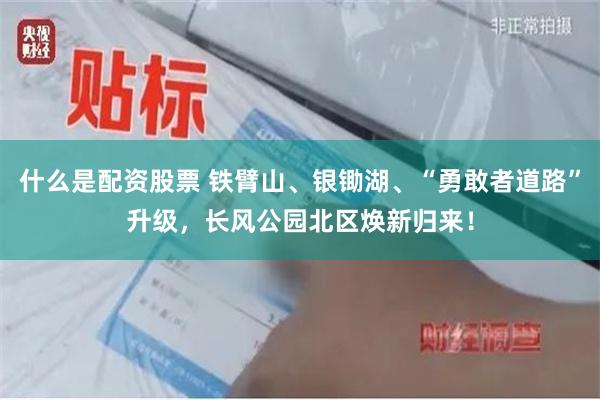 什么是配资股票 铁臂山、银锄湖、“勇敢者道路”升级，长风公园北区焕新归来！