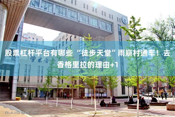 股票杠杆平台有哪些 “徒步天堂”雨崩村通车！去香格里拉的理由+1