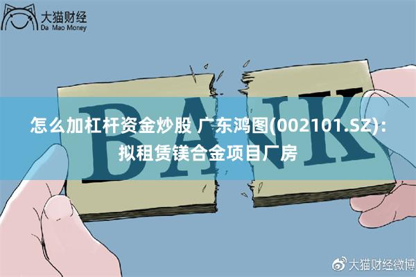 怎么加杠杆资金炒股 广东鸿图(002101.SZ)：拟租赁镁合金项目厂房